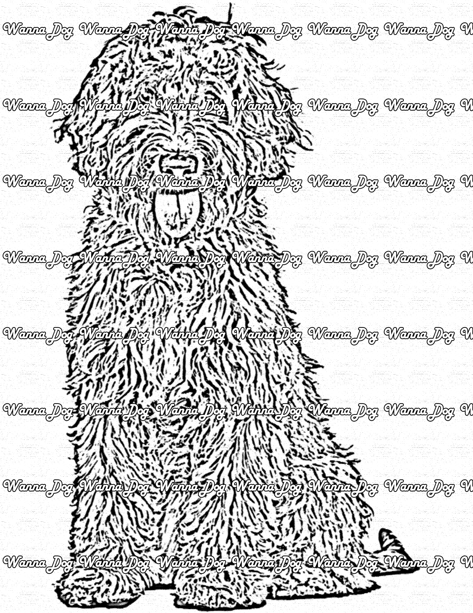 Labradoodle coloring pages â wanna dog