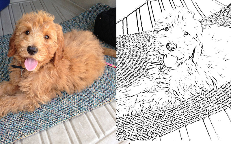 Heres how to make custom coloring pages from your own photos