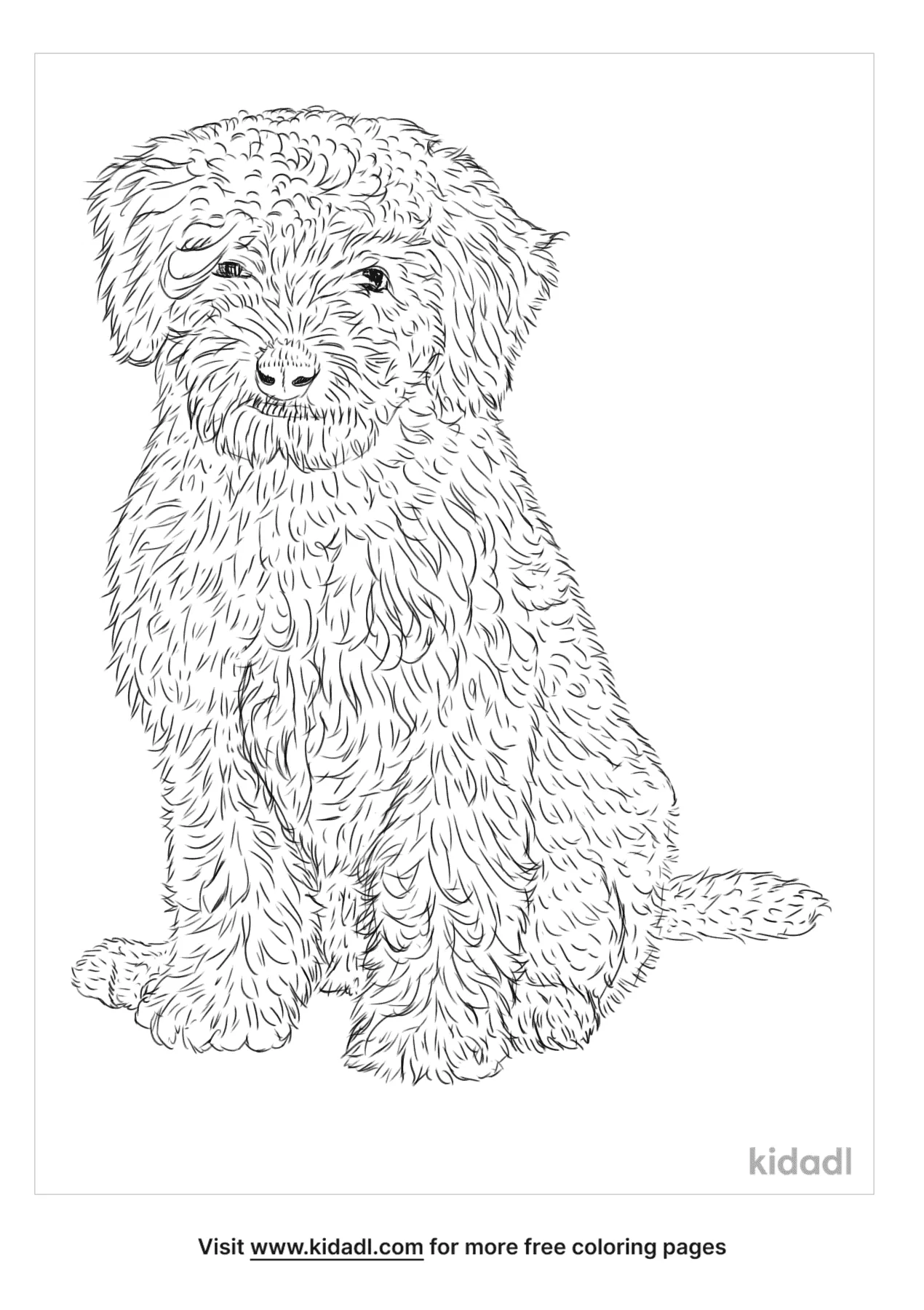 Free mini labradoodle coloring page coloring page printables