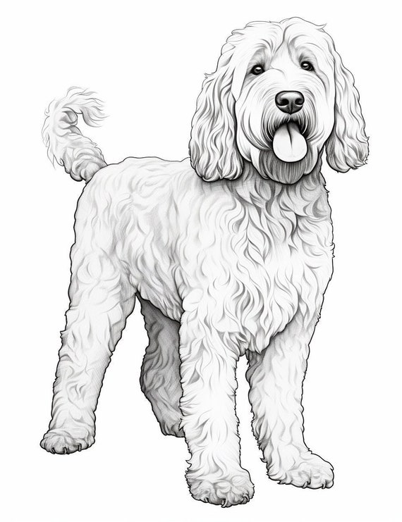 Labradoodle dog coloring page pet portrait printable coloring page animal print coloring for adults instant download mercial use instant download