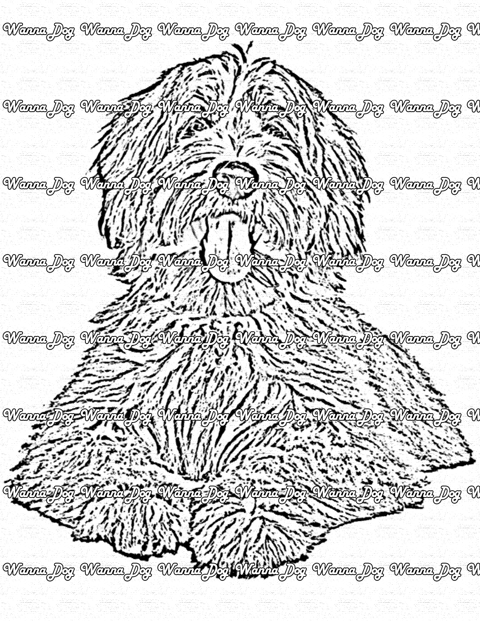 Labradoodle coloring pages â wanna dog