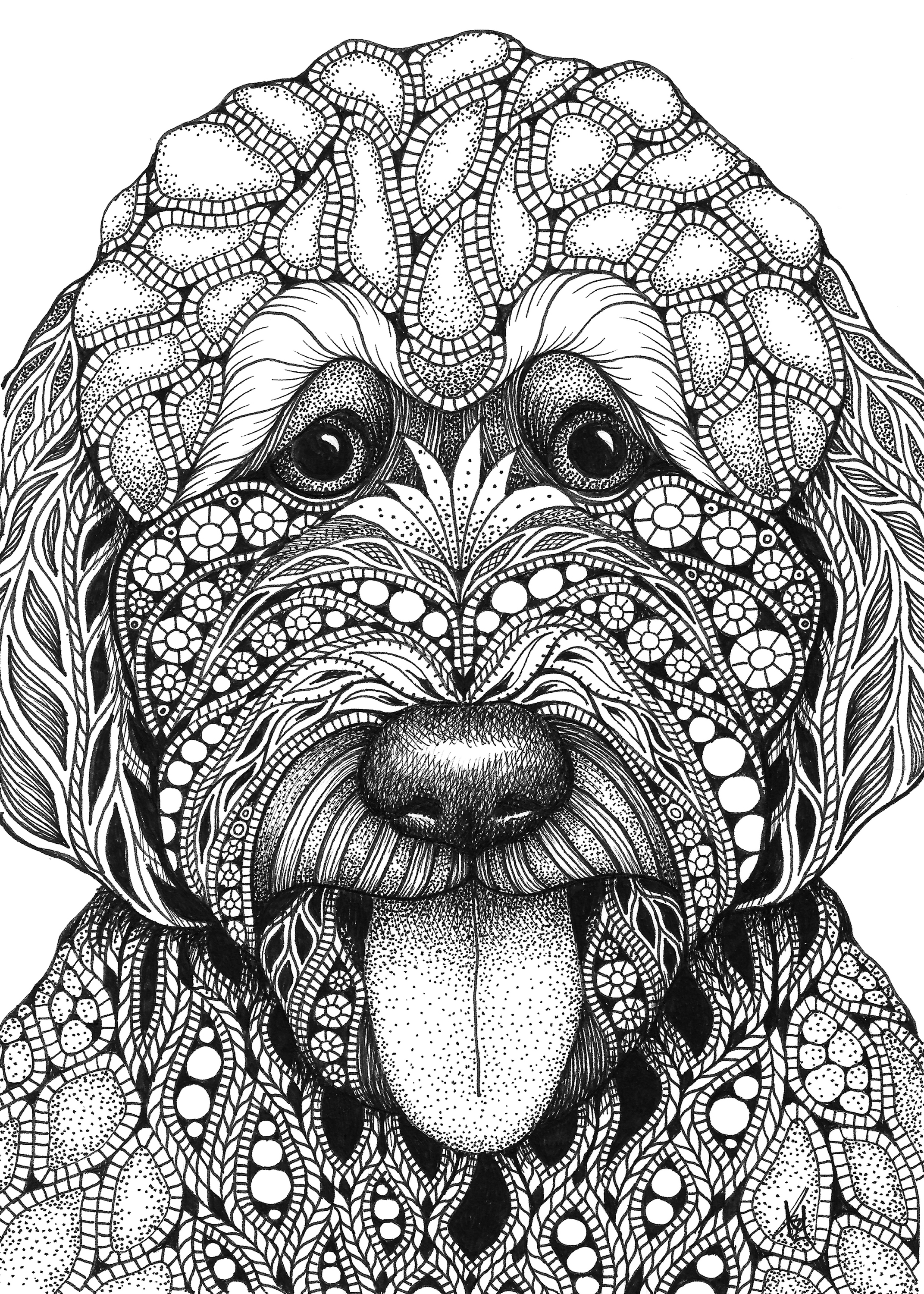 Golden doodle