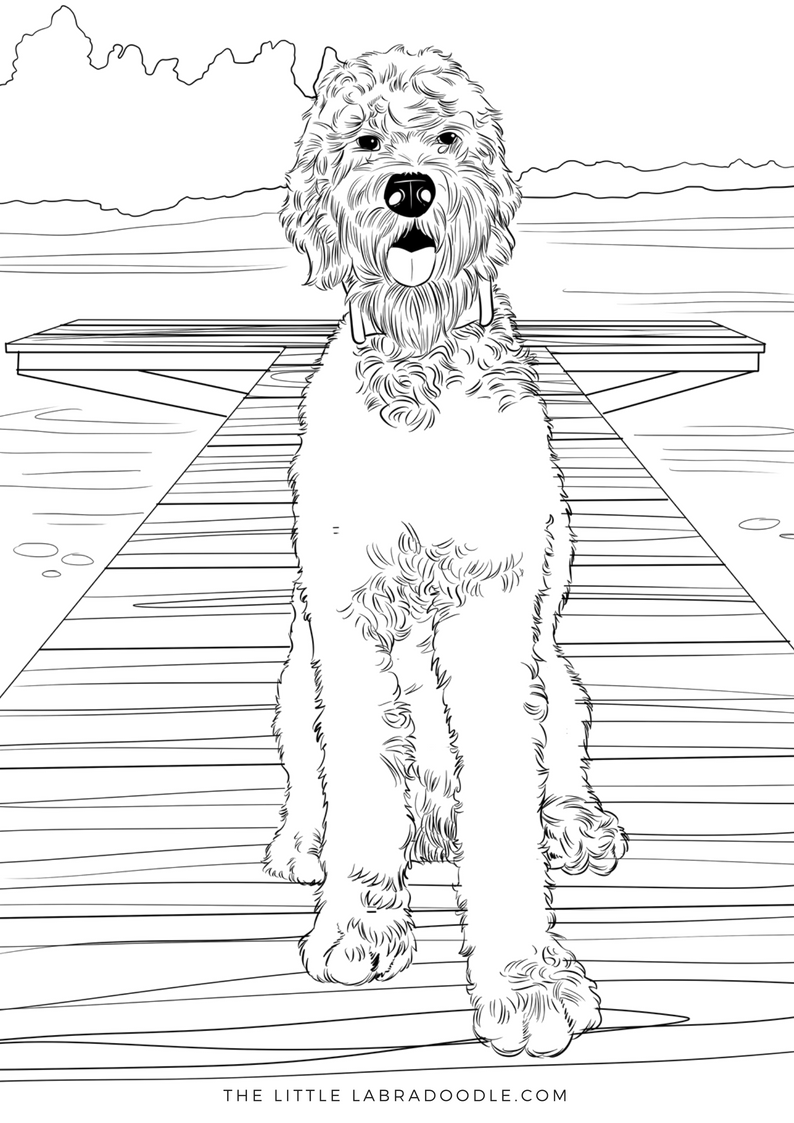 Doodle lovers adult coloring book sitting by the water dog coloring book dog coloring page coloring pages