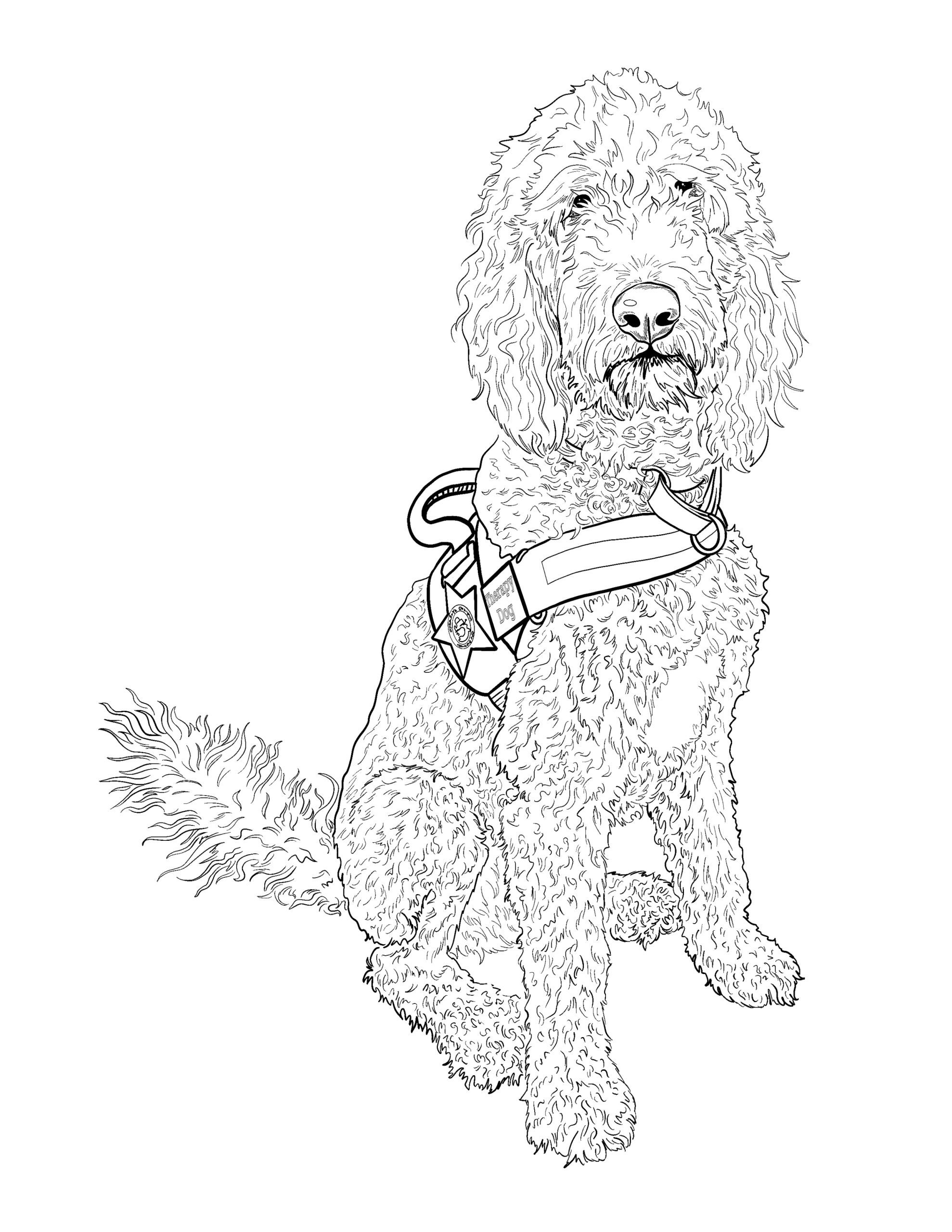 Coloring pages k
