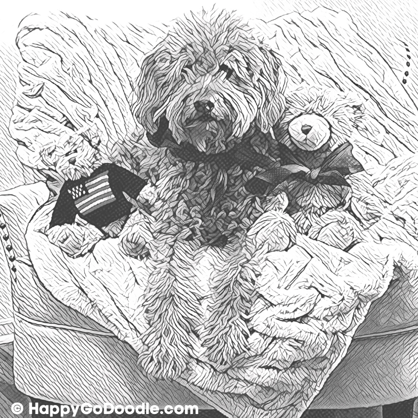Free goldendoodle coloring pages ð for oodles of cuteness
