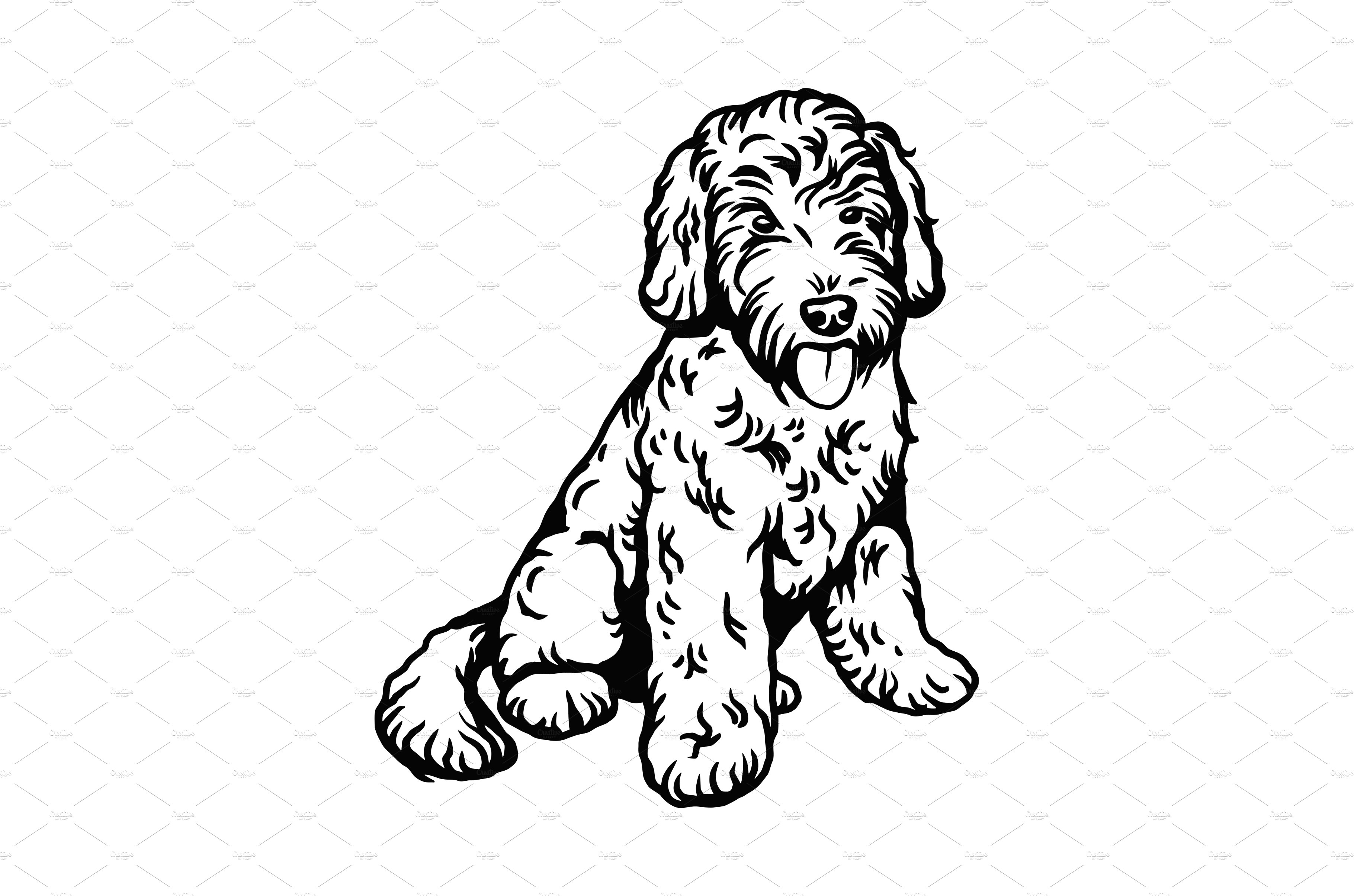 Labradoodle mix dog
