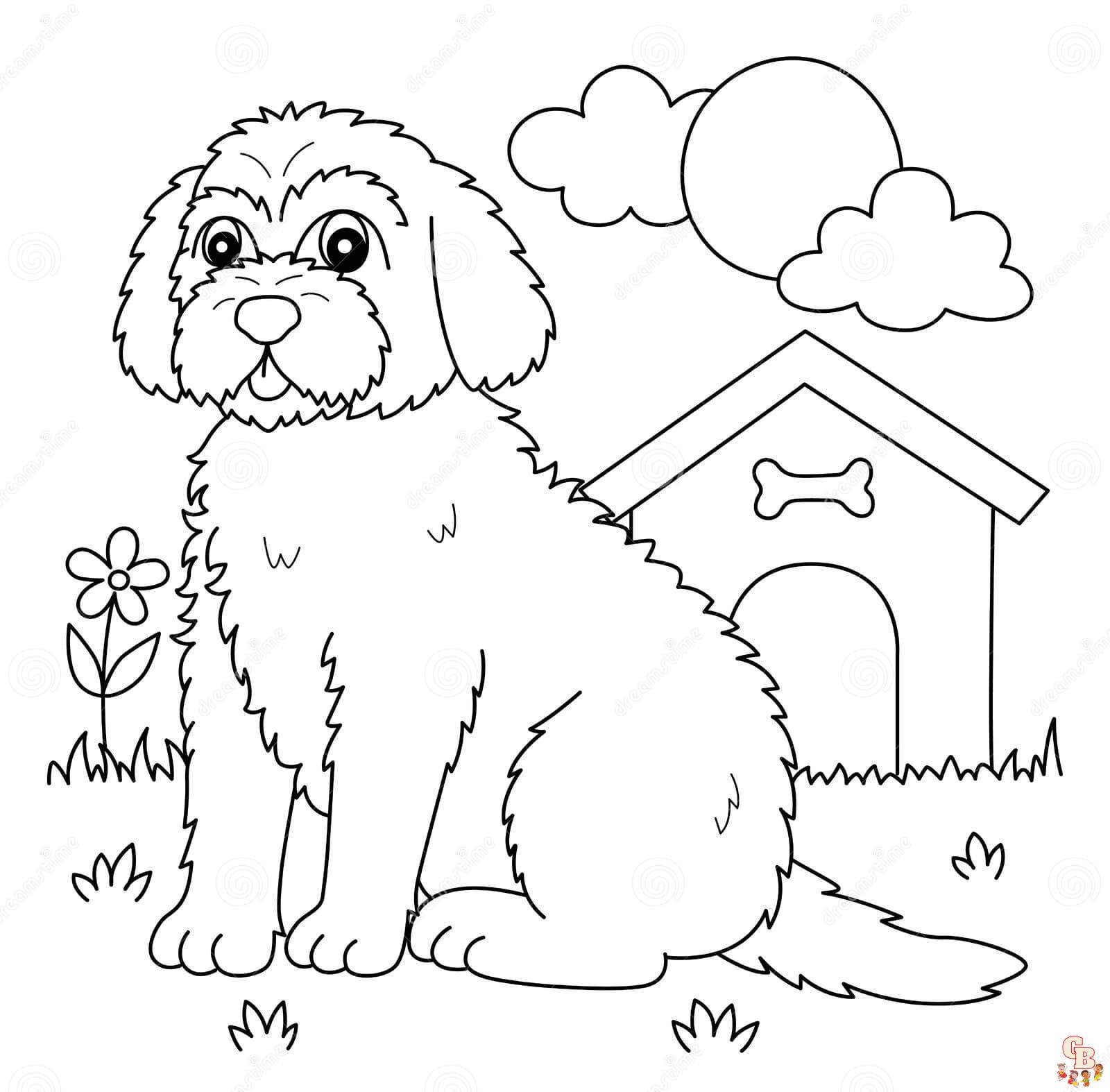 Printable goldendoodle coloring pages free for kids and adults