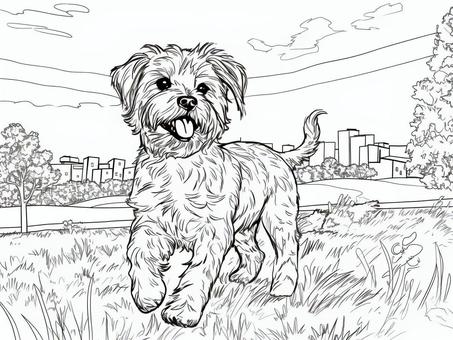 Free vectors yorkshire terrier coloring book
