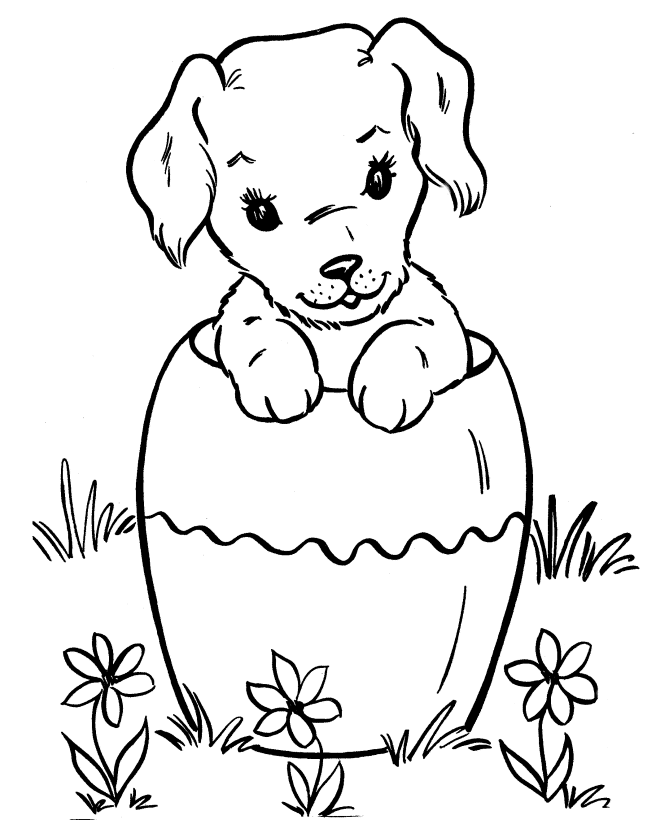 Labrador coloring pages