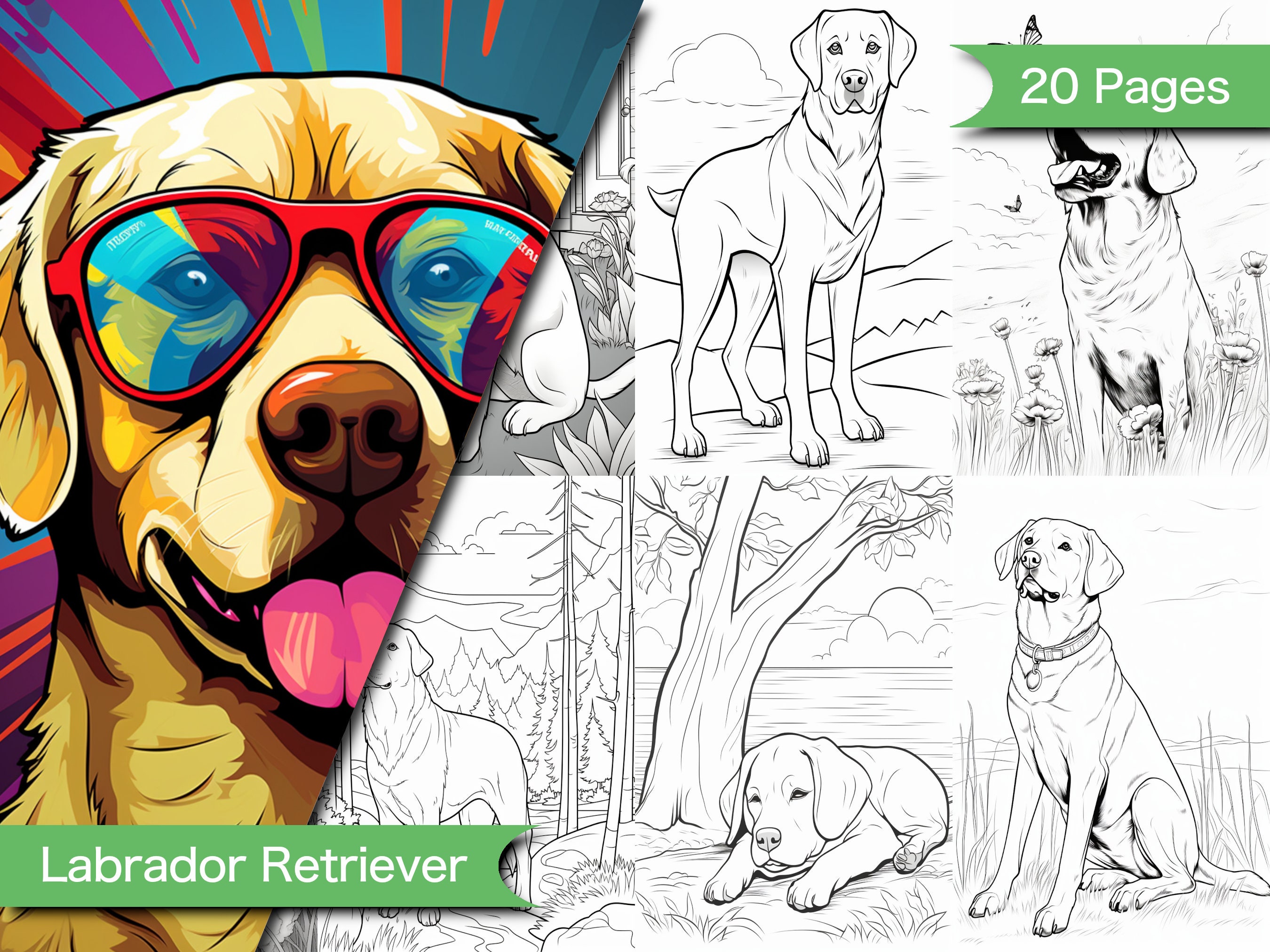 Printable labrador retriever coloring pages detailed designs for kids adults relaxing and creative activity