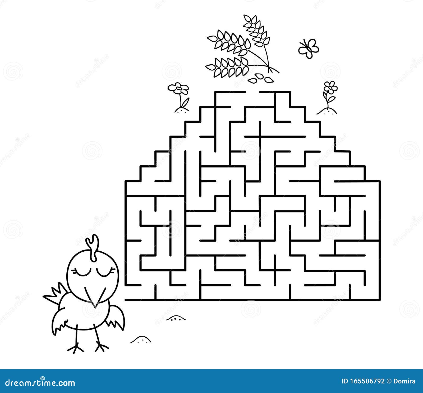 Black coloring pages with maze cartoon chicken and wheat kids education art game on white background outline vector stock illustration