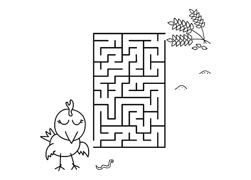 Black coloring pages with maze cartoon chicken and wheat kids education art game template design with pet on white background outline vector stock illustration