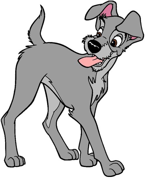 Images of disneys lady and the tramp