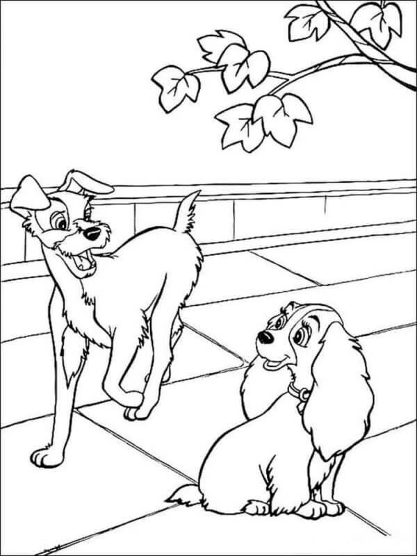 Meet the lady and the tramp coloring page