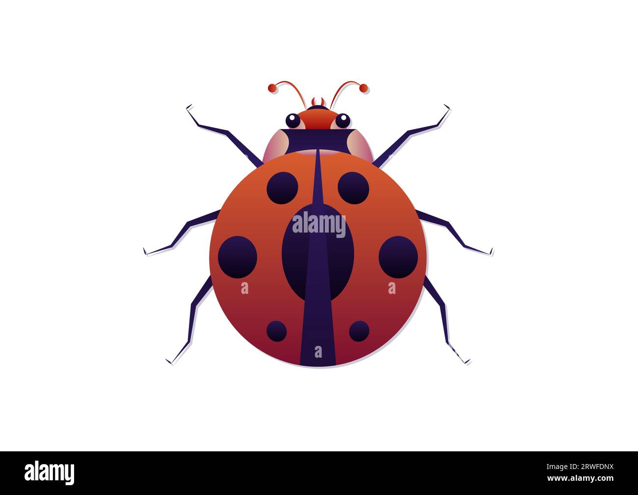Ladybug clipart stock vector images