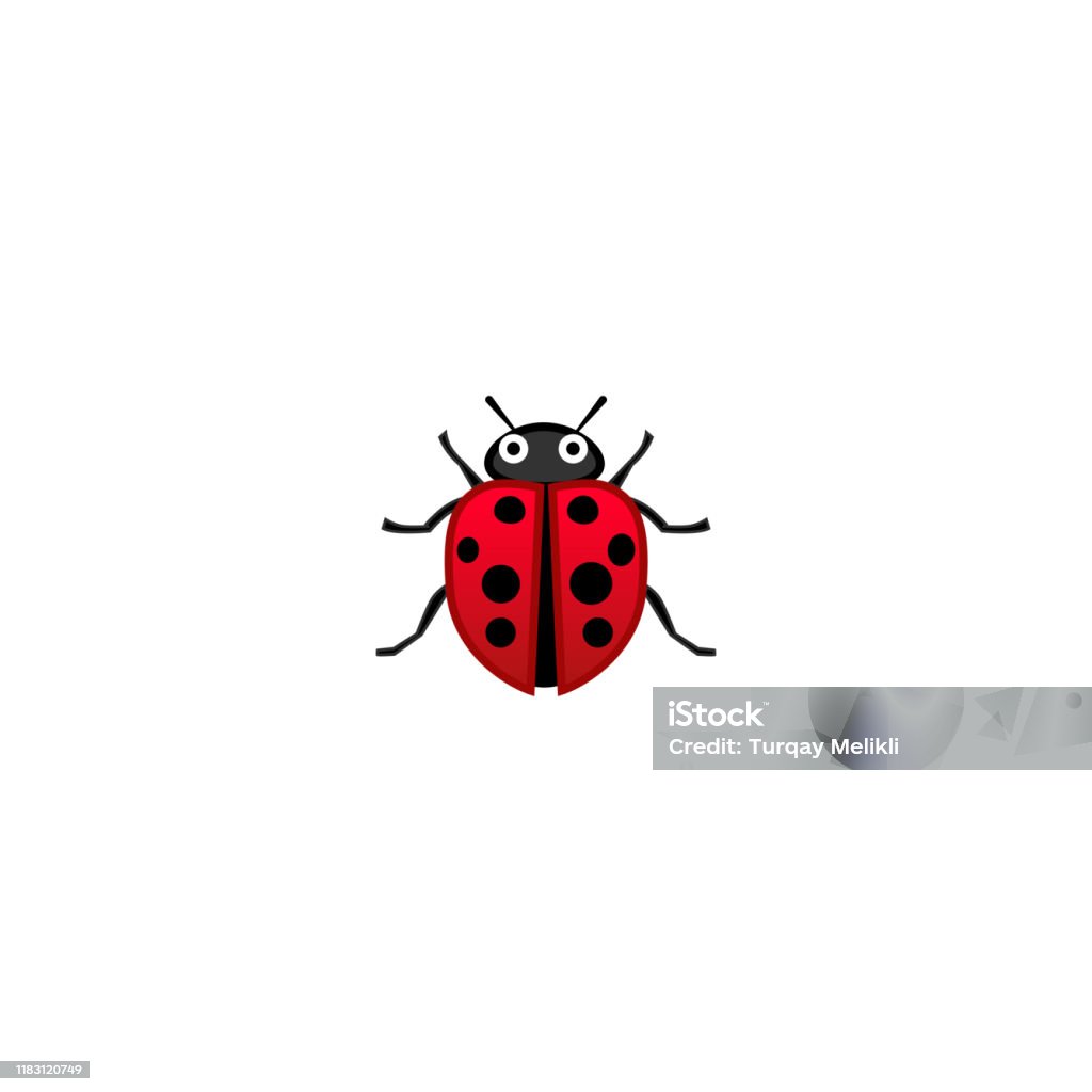 Lady beetle isolated realistic vector icon ladybug illustration emoji emoticon sticker icon stock illustration