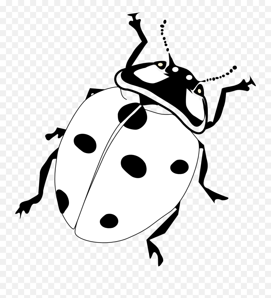 Clipart animals insect transparent