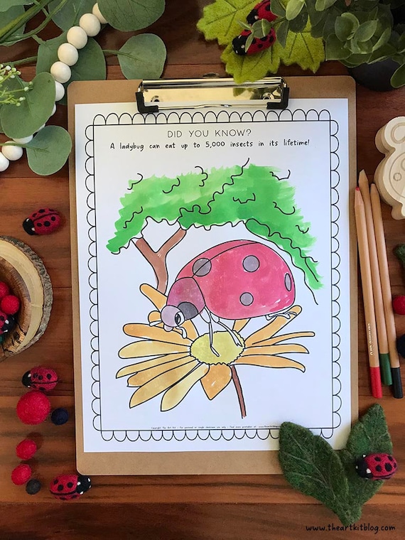 Ladybug coloring pages coloring pages for kids ladybug printable nature coloring book nature coloring pages nature crafts spring craft