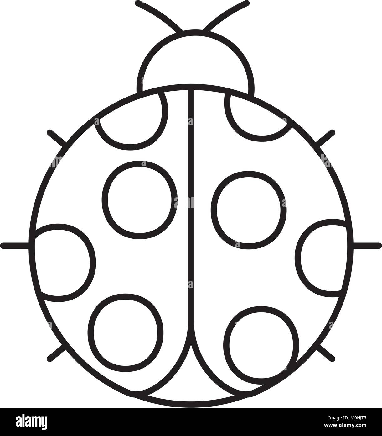Lady bug icon black and white stock photos images