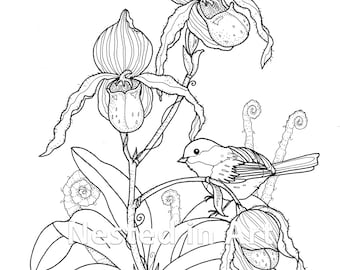 Adult coloring page bird and lady slipper orchids digital download punch needle pattern