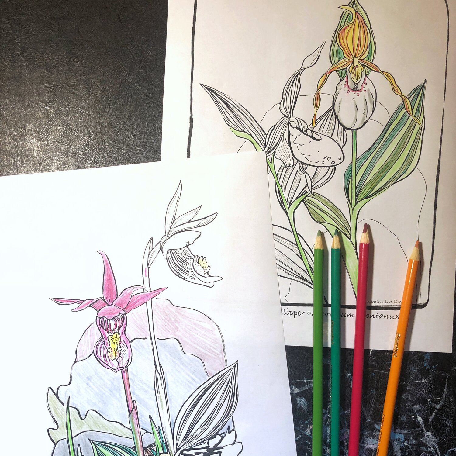 New flower coloring pages â kristin link