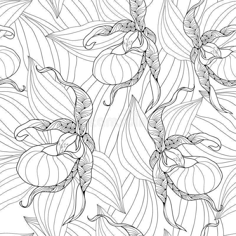 Lady slipper flower stock illustrations â lady slipper flower stock illustrations vectors clipart