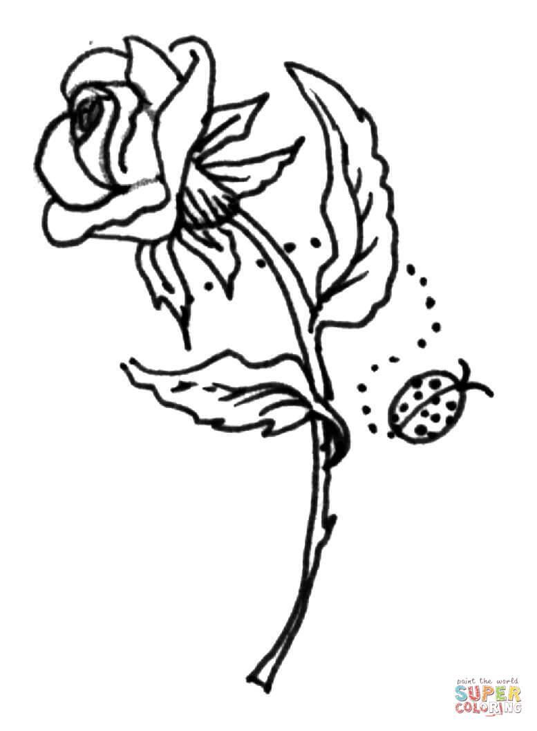 Rose with a ladybird coloring page free printable coloring pages