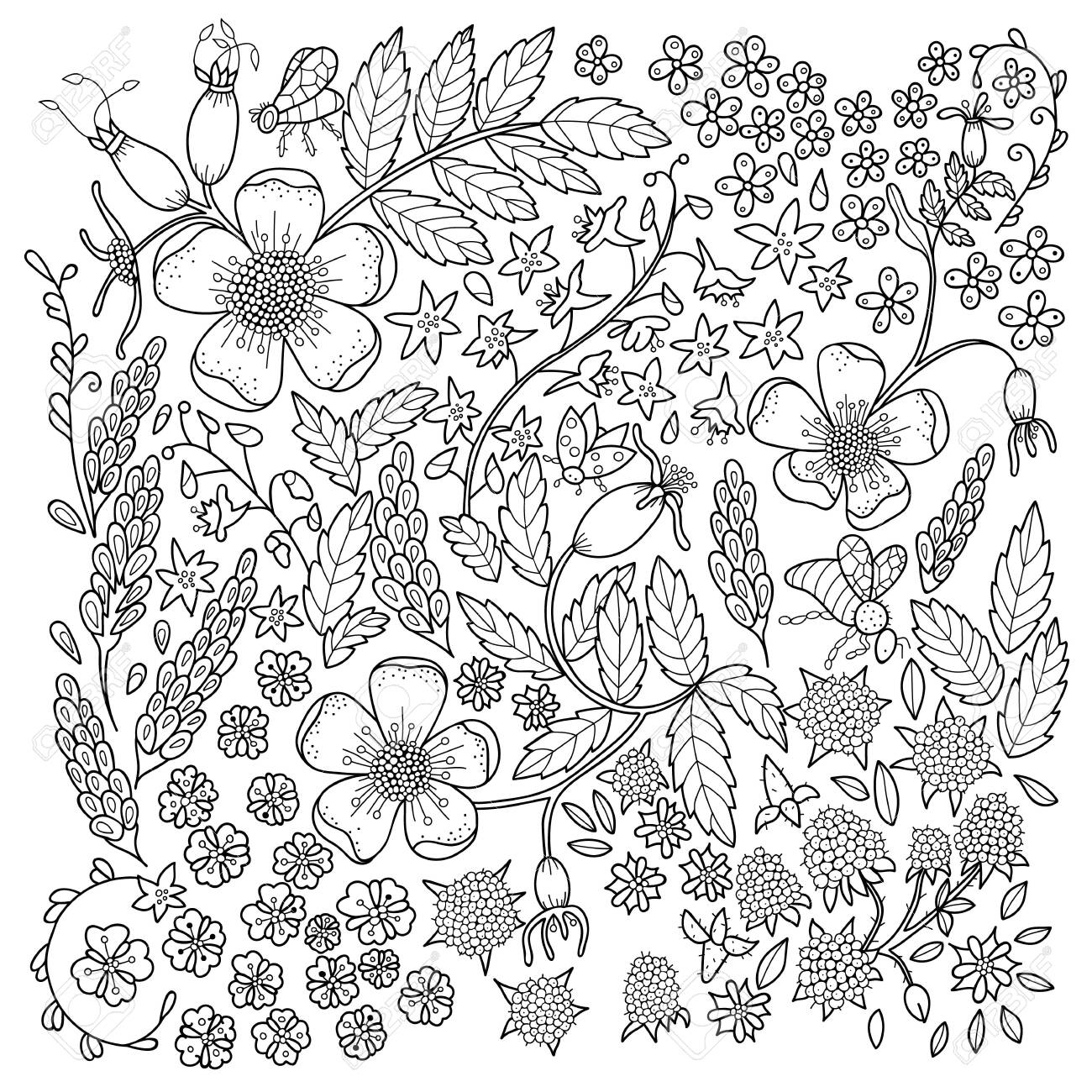 Antistress coloring page for adults color book with flowers floral black and white line illustration royalty free svg cliparts vectors and stock illustration image
