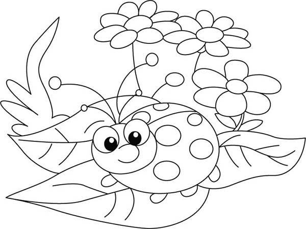 Lady bug and three beautiful flower coloring page color luna ãiãek boyama sayfalarä hayvan boyama sayfalarä boyama kitabä