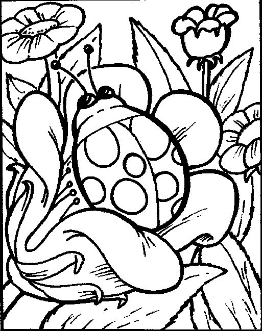 Coloring ladybird on flower picture ausmalbilder ausmalen malbilder