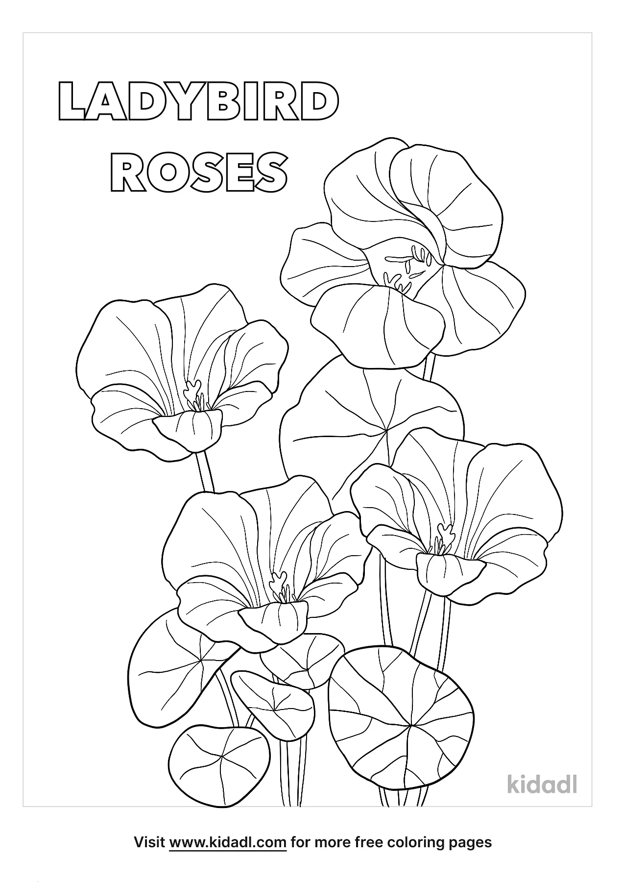 Free ladybird roses coloring page coloring page printables