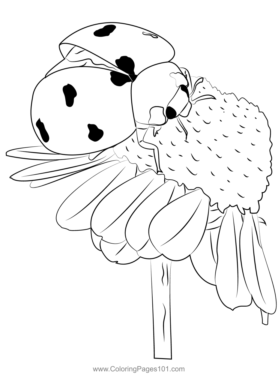 Ladybug pollinate flowers coloring page for kids