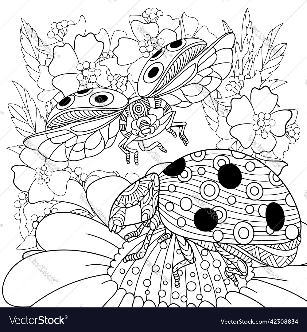 Ladybug and flowers adult coloring page royalty free vector