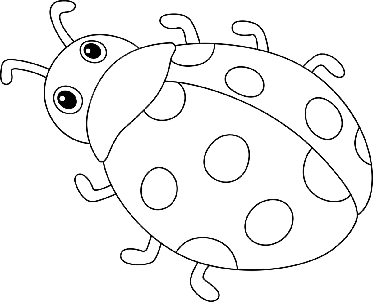 Spring ladybug isolated coloring page for kids hand drawn drawing color vector bug drawing wing drawing ring drawing png and vector with transparent background for free download
