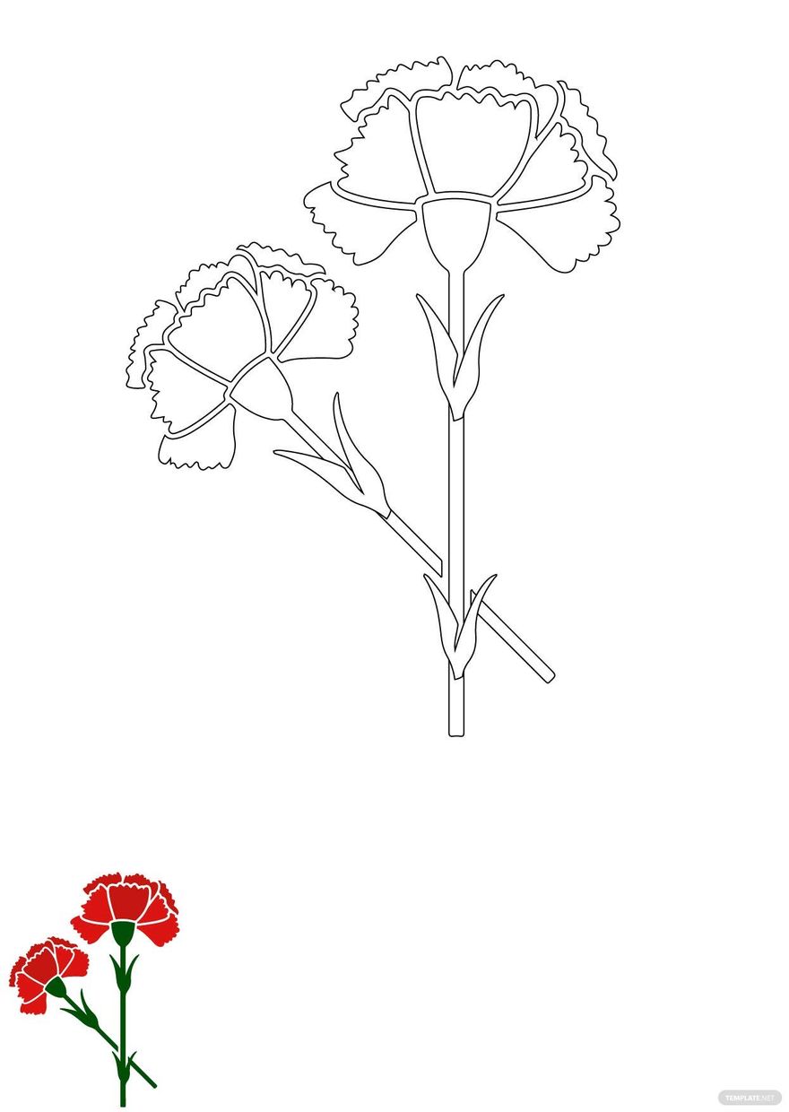 Free carnation flowers coloring page