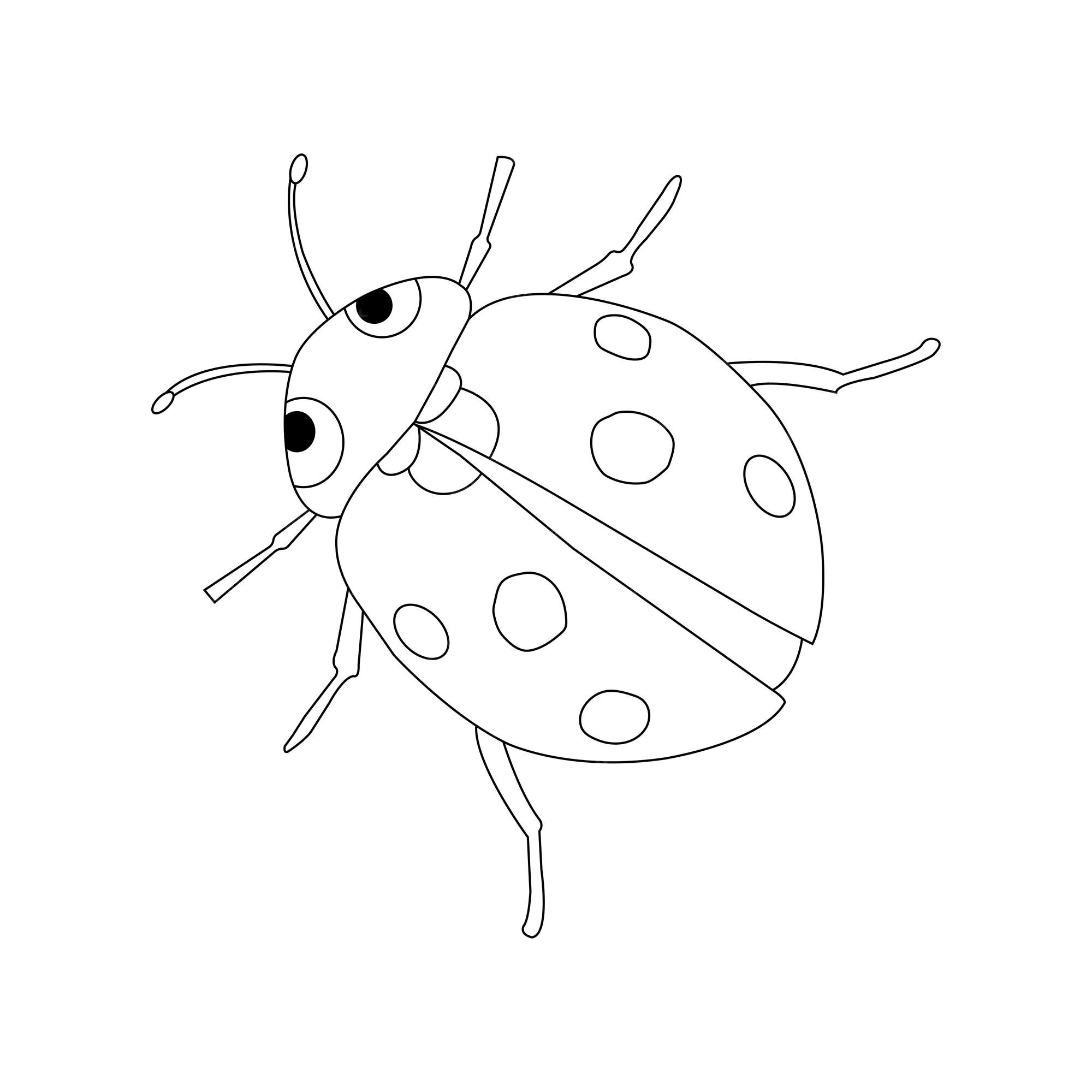 Premium vector ladybird coloring page