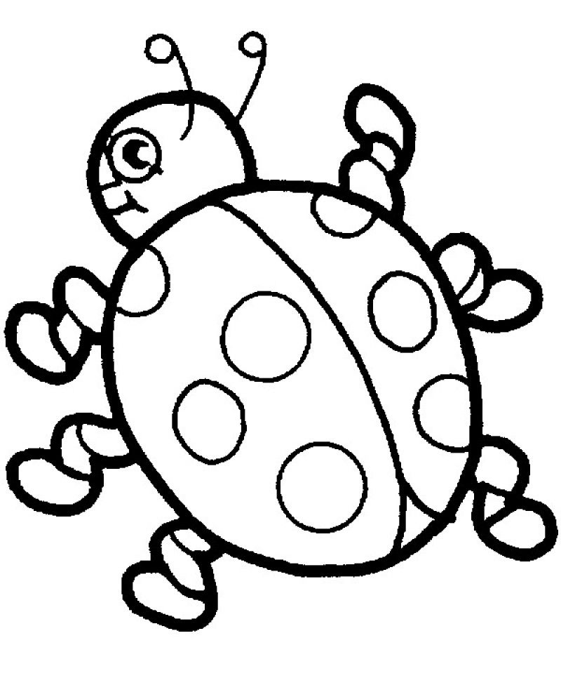 Printable ladybug coloring pages ladybug coloring page bug coloring pages summer coloring pages