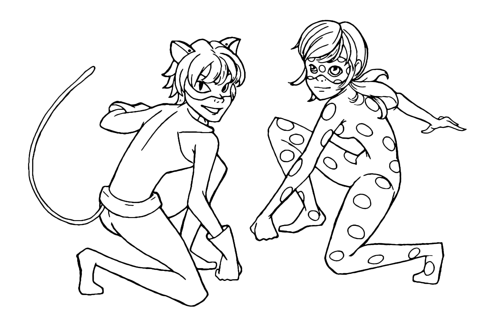 Miraculous tales of ladybug cat noir