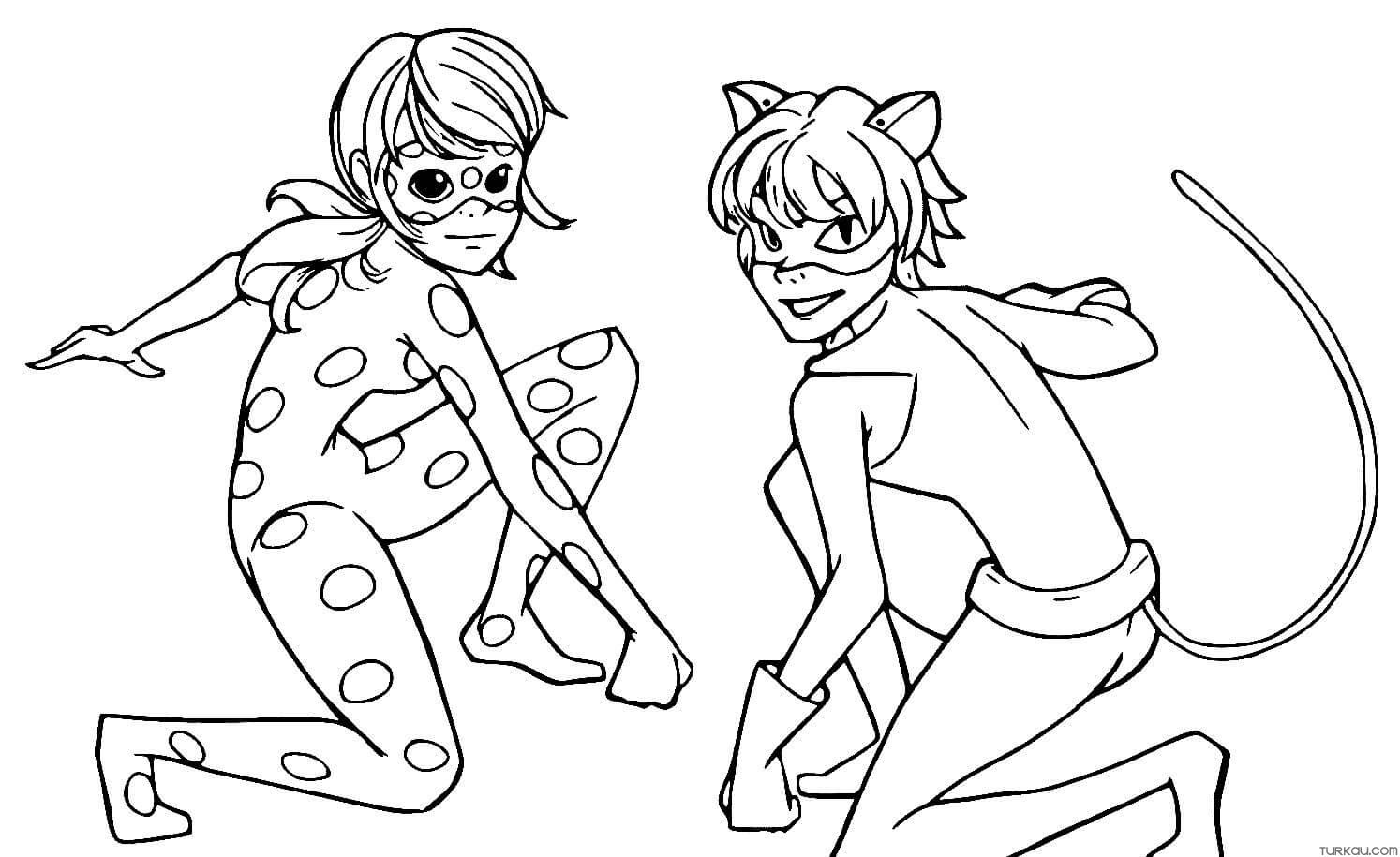 Ladybug and cat noir coloring page