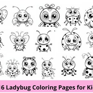 Ladybug coloring