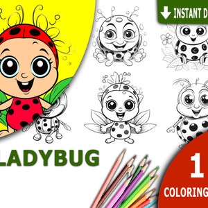 Ladybug coloring