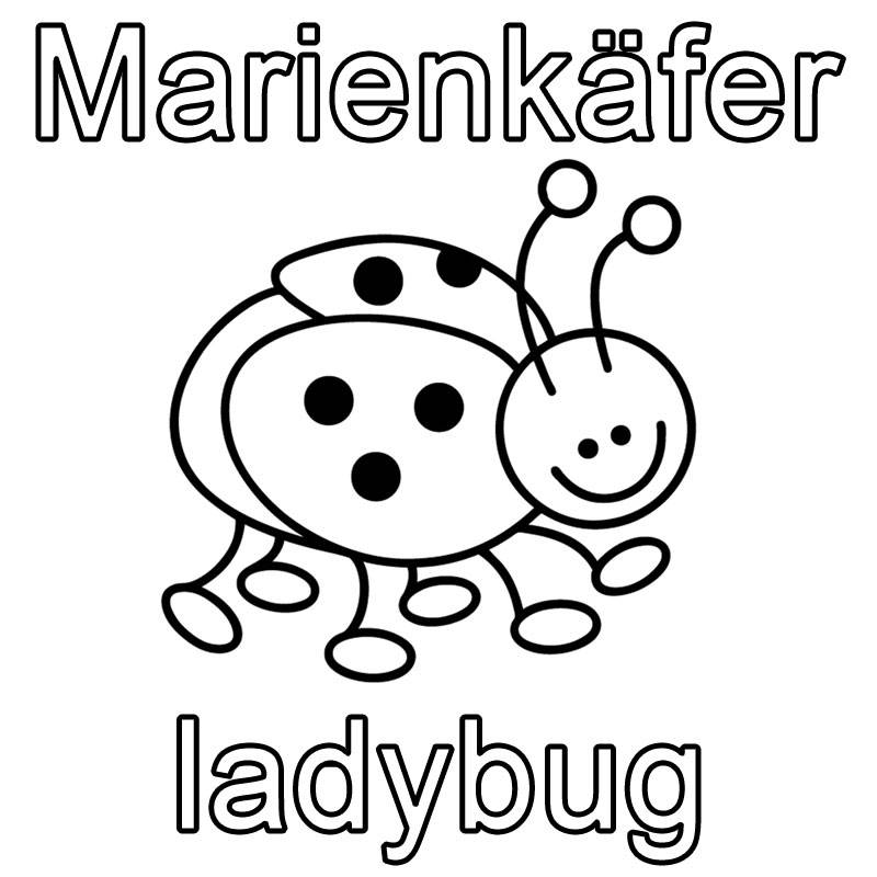 Ausmalbild malvorlagen zum englisch lernen marienkãfer