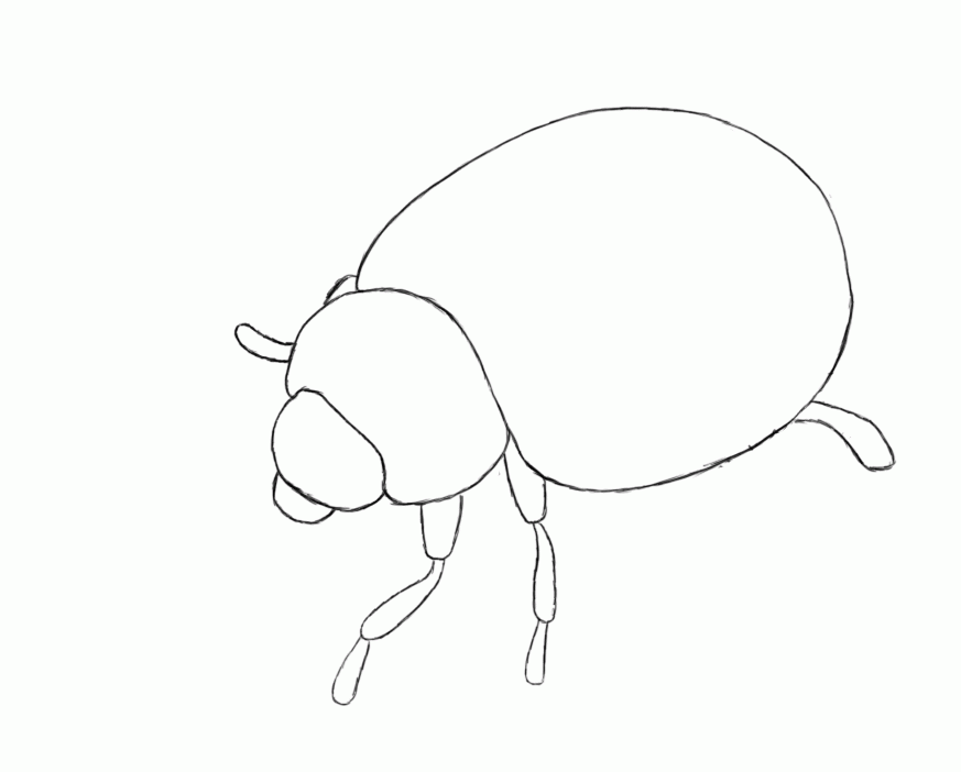 Â