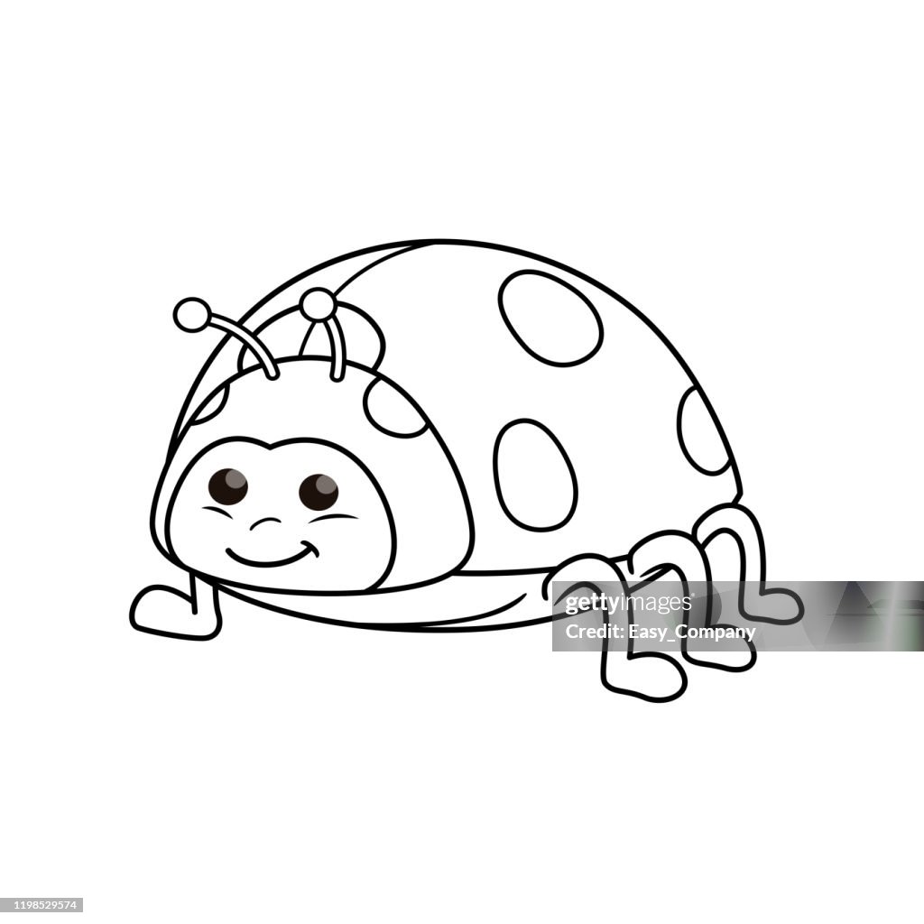 Vector illustration of ladybug isolated on white background for kids coloring book high
