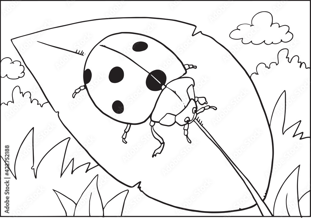 Coloring book or page with ladybug vector illustration isolated on white vector