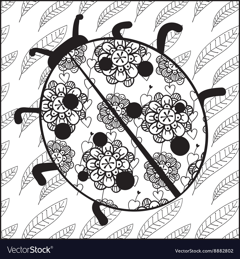 Ladybug adult coloring book page royalty free vector image