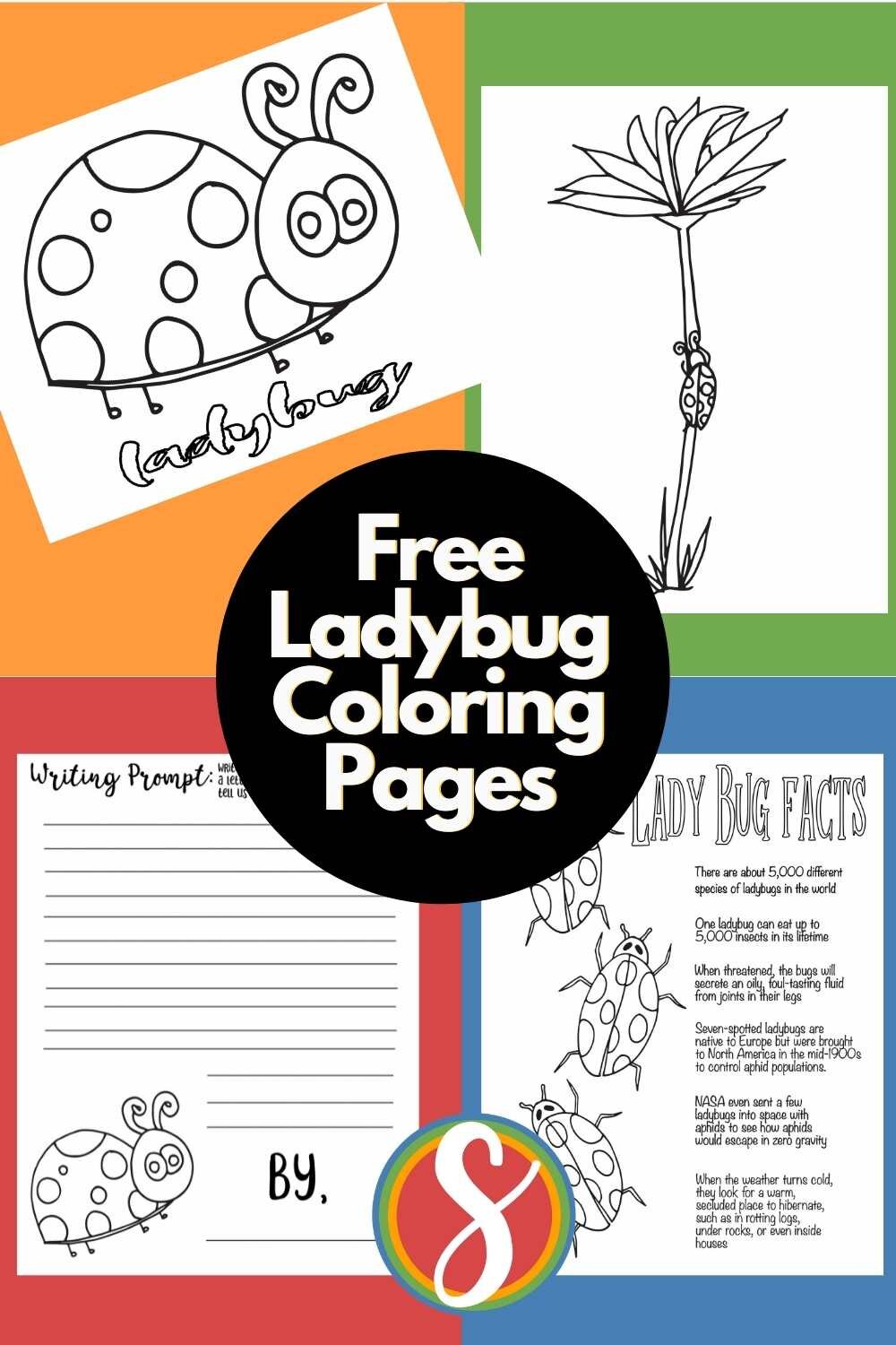 Free ladybug coloring page printables â stevie doodles