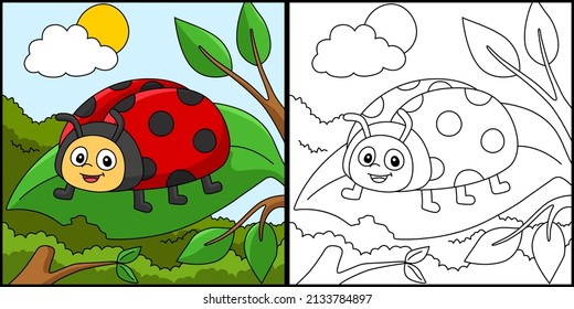 Ladybug coloring images stock photos d objects vectors