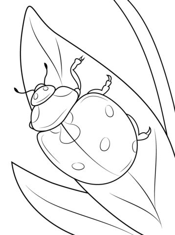 Seven spot ladybird colorg page free prtable colorg pages sect colorg pages bird colorg pages animal colorg pages