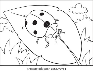 Ladybug coloring images stock photos d objects vectors